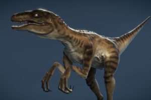 velociraptors, Dinosaurio, Reptiles, Animales