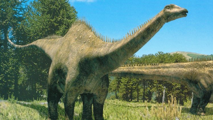 diplodocus, Dinosaurio, Reptiles, Animales HD Wallpaper Desktop Background