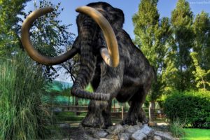 mamut, Animales, Extinguido