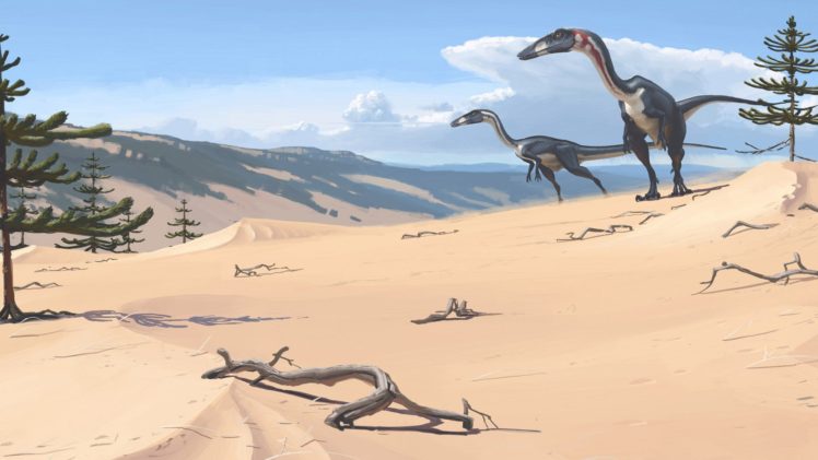 velociraptor, Dinasaurios, Reptiles, Animales HD Wallpaper Desktop Background