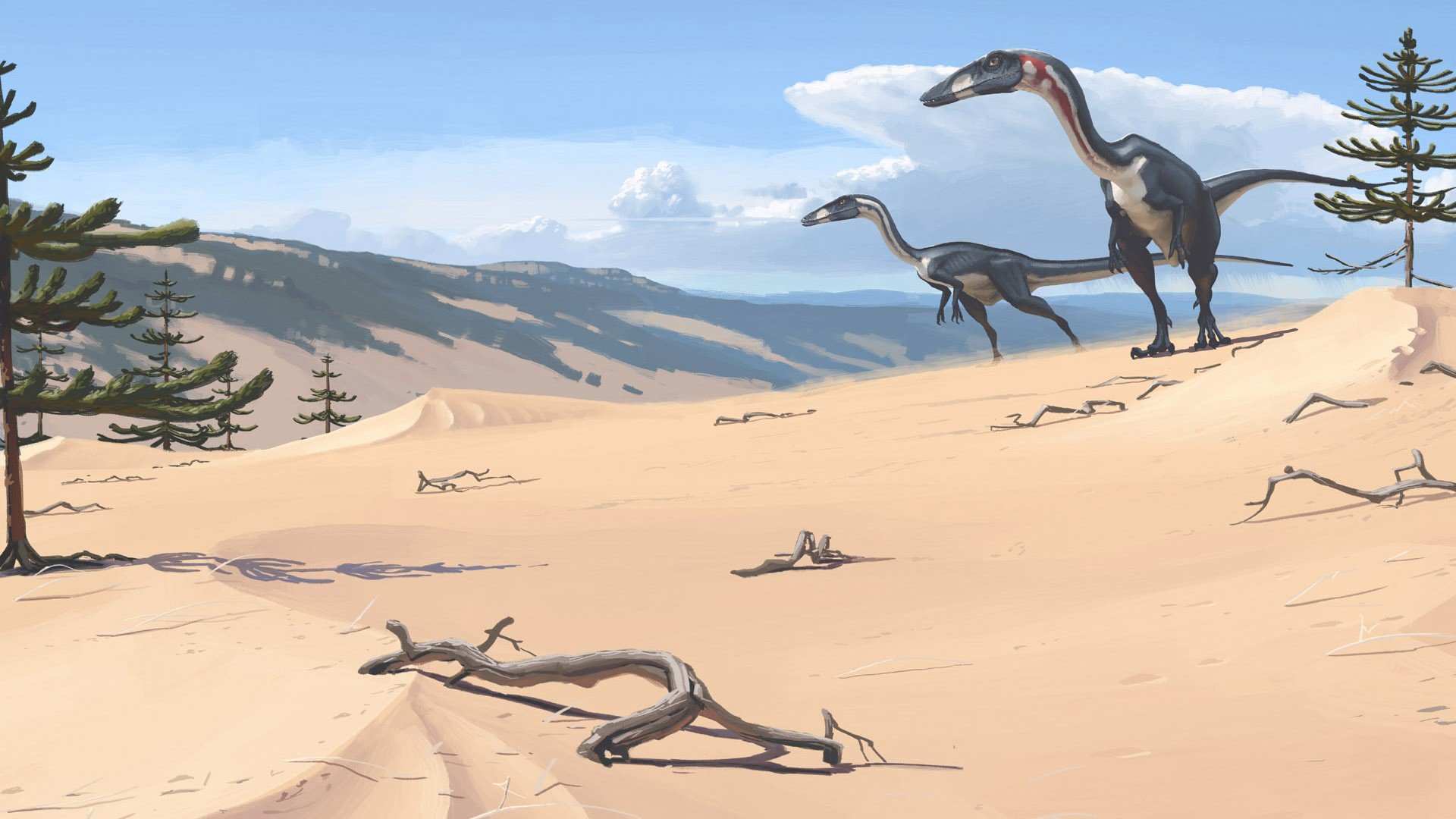 velociraptor, Dinasaurios, Reptiles, Animales Wallpaper