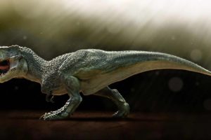 tyranosaurio, Rex, Reptil, Dinosaurio, Animales