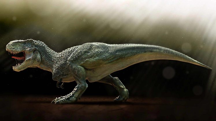 tyranosaurio, Rex, Reptil, Dinosaurio, Animales HD Wallpaper Desktop Background