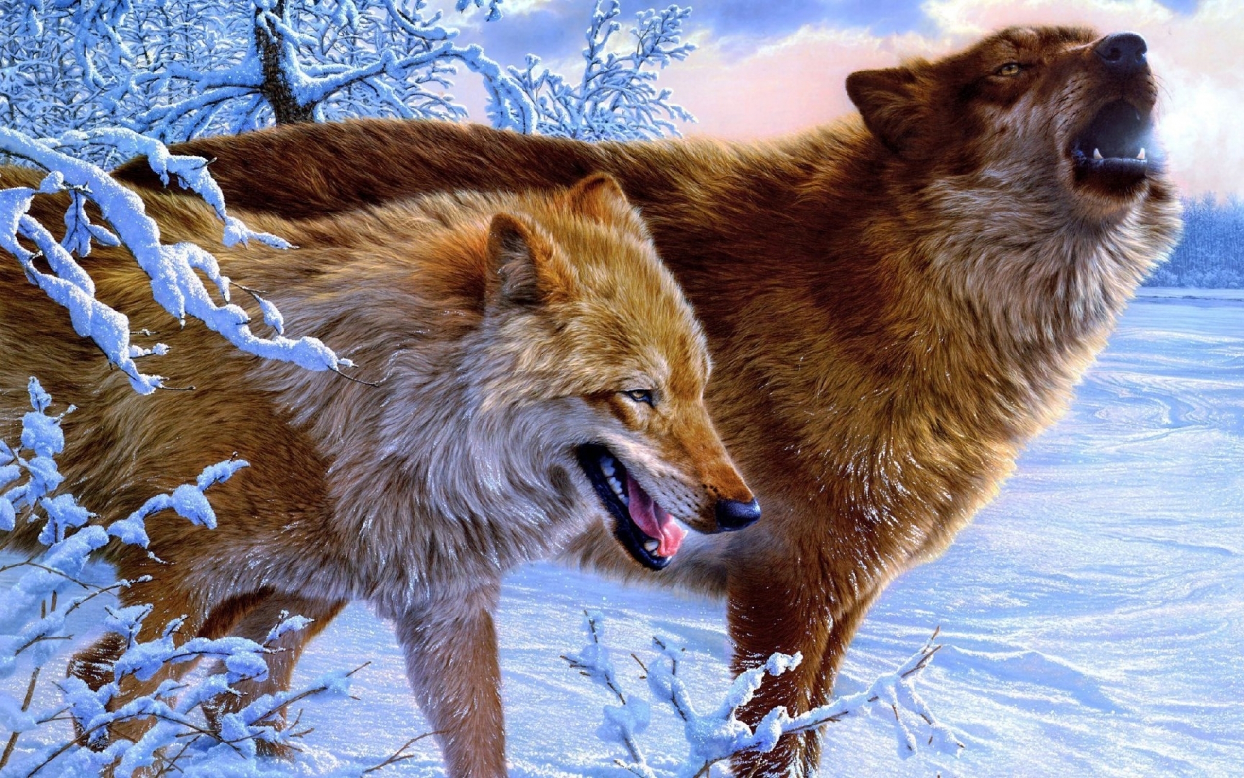 wolf Wallpaper