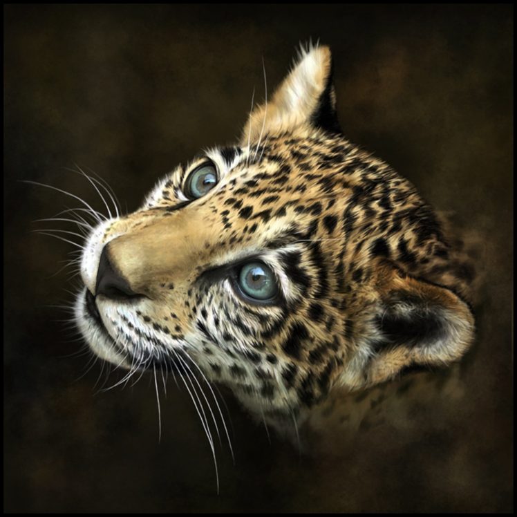 tiger, Fantasy, Animal, Painting, Beauty HD Wallpaper Desktop Background