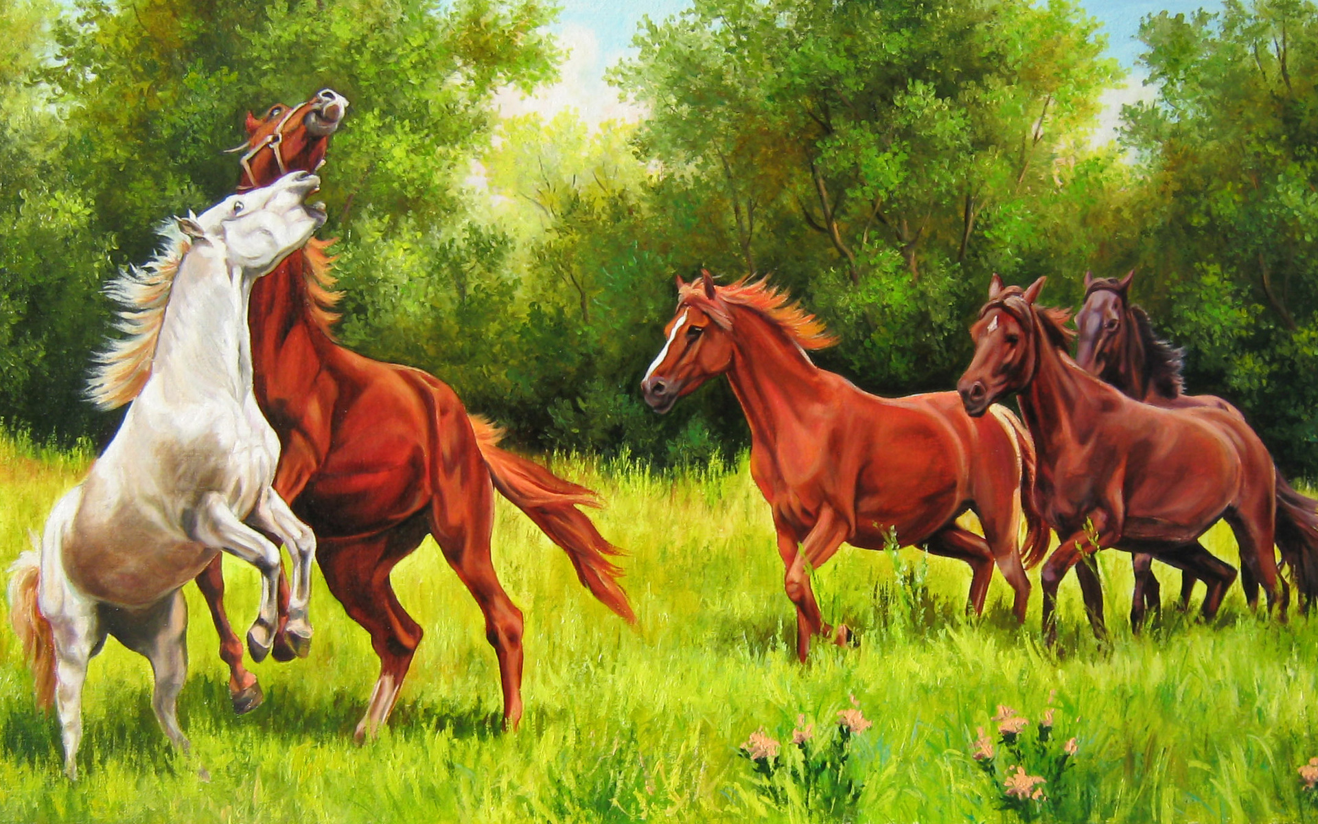 elena, Samara, Playful, Horses Wallpaper