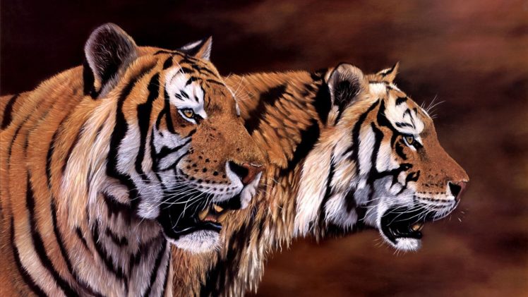 art, Jonathan, Truss, Tigers, Animal, Beauty, Painting HD Wallpaper Desktop Background
