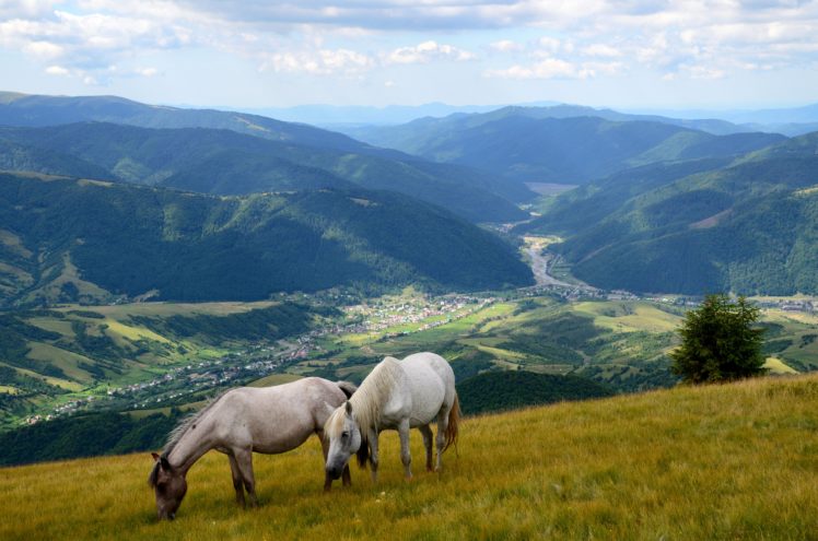 scenery, Mountains, Grasslands, Horses, Two, Animals, Nature HD Wallpaper Desktop Background