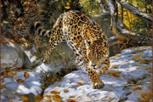 leopardo, Felino, Depredador, Animales
