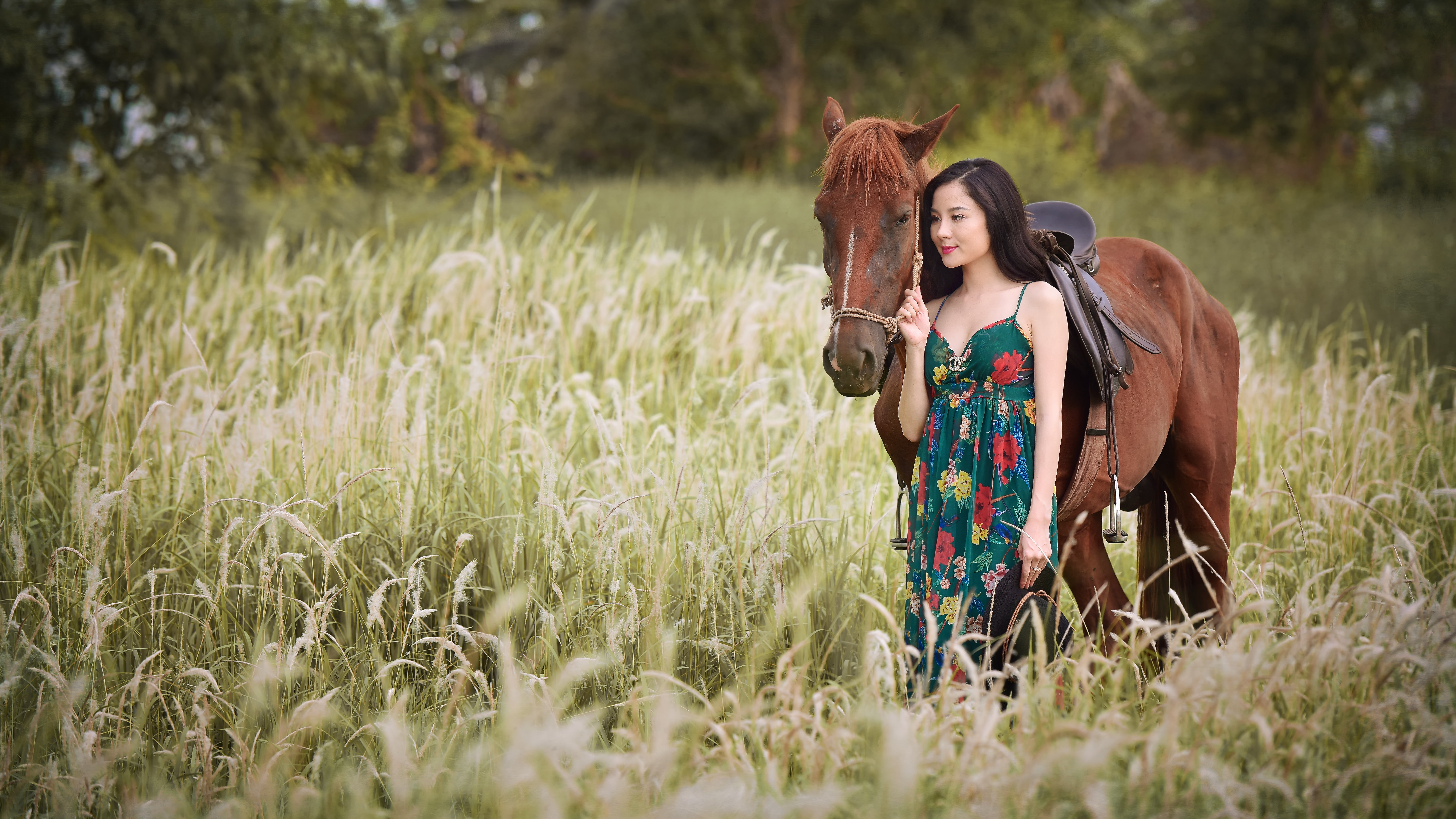 horse, Asian, Grass, Animals, Girls Wallpaper