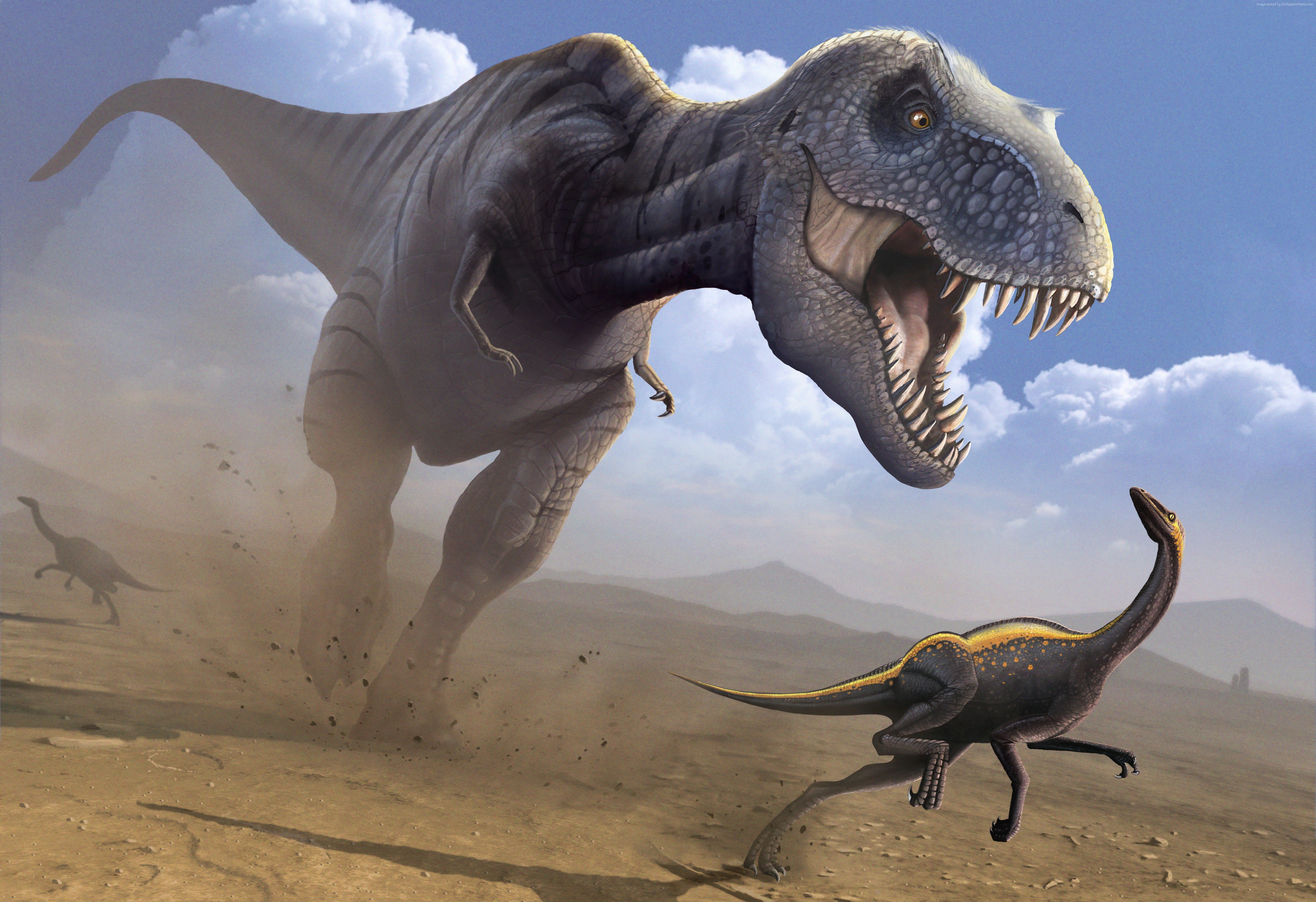 dinosaurs, Ancient, Animals, Tyrannosaurus, Rex, Animals, Wallpapers