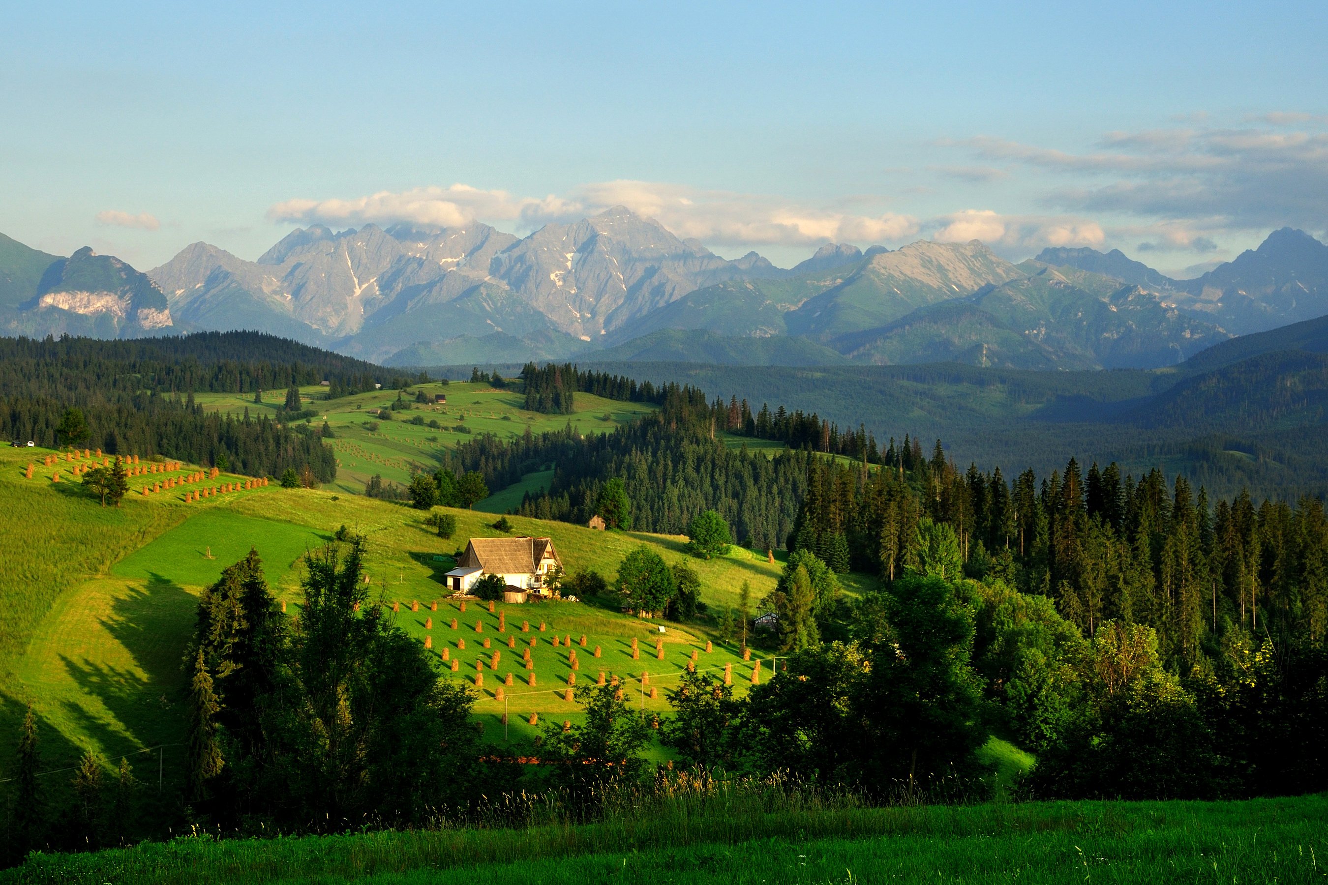 poland, Scenery, Mountains, Fields, Houses, Forests, Grasslands, Tatra, Mountains, Nature, Wallpapers Wallpaper