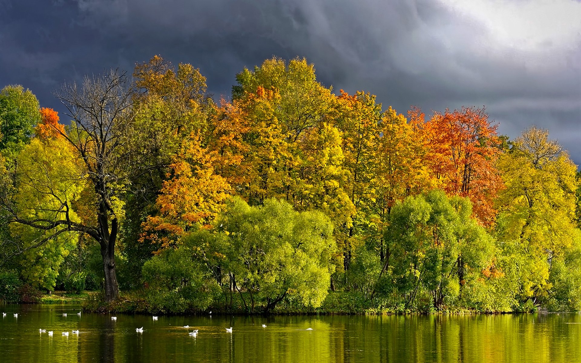 view, Lake, Grass, Leaves, Autumn, Splendor, Beautiful, Water, Trees, Peaceful, Splendor, Beauty, Clouds, Landscape, Autumn, Colors, Nature, Tree, Green, Forest, Birds, Storm, Sky, Woodland, Wood, Autumn, Leave Wallpaper