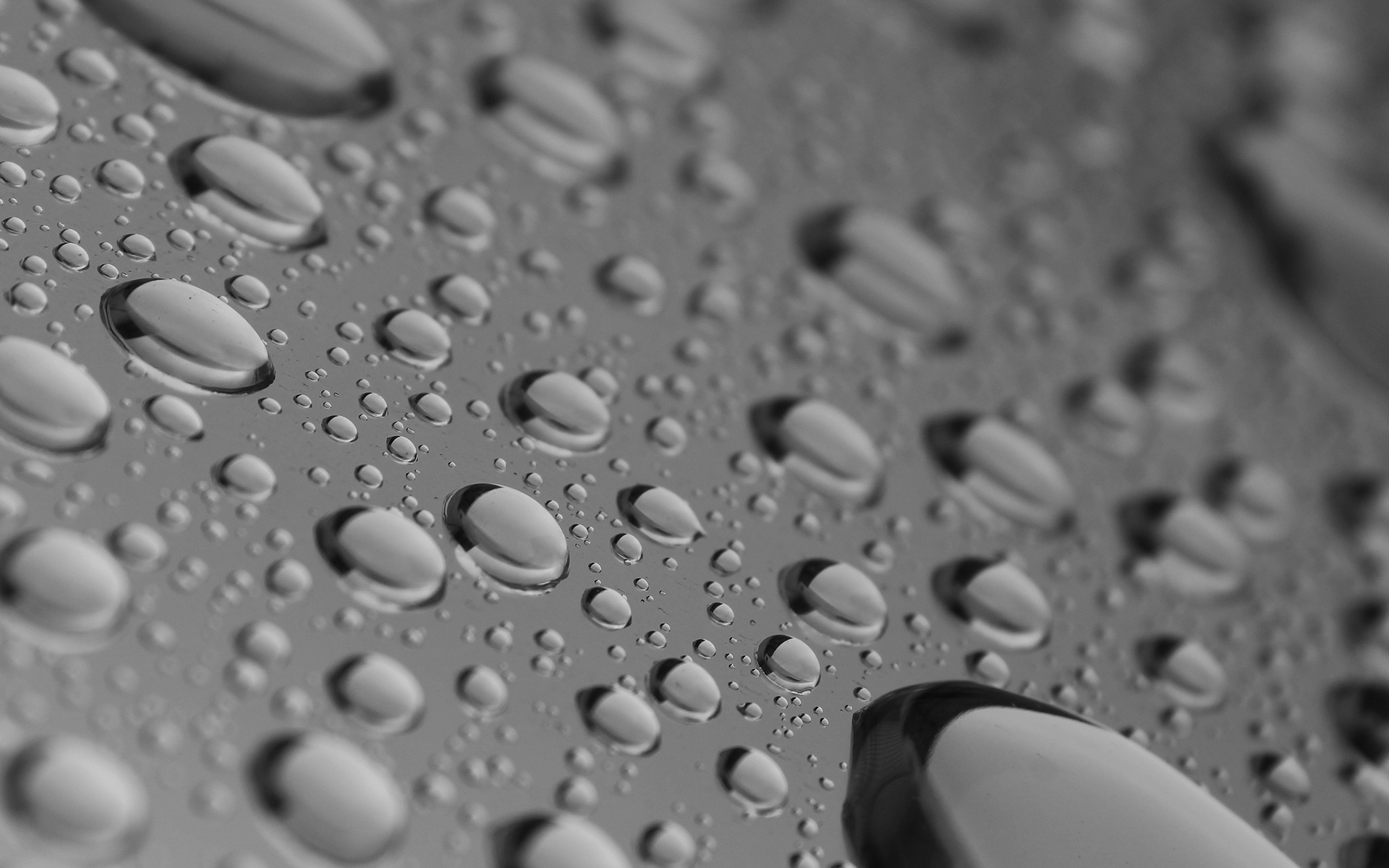 water, Drops, Macro Wallpaper