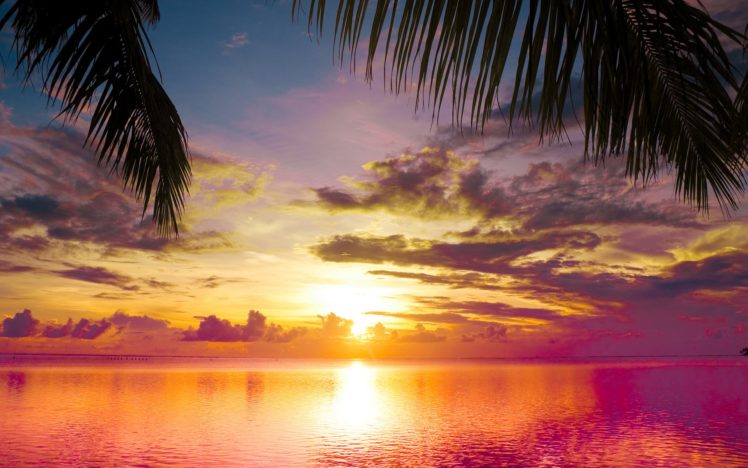 sunset, Palms, Sea, Beautiful, Nature, Landscape, Water, Sky, Clouds, Reflection HD Wallpaper Desktop Background