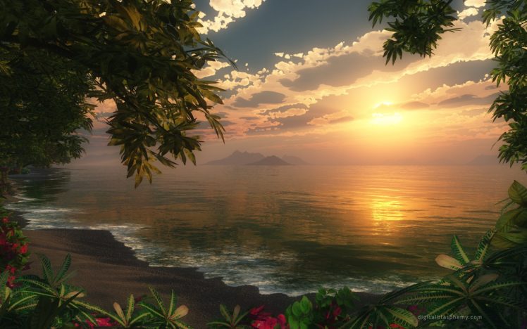 sunset, Sunset, Sea, Forest, Woods, Water, Sea, Shore, Trees, Waves HD Wallpaper Desktop Background