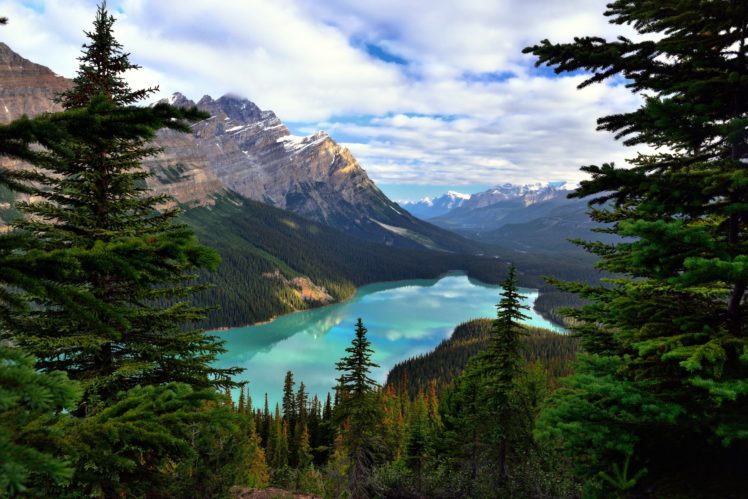 plants, Landscape, Water, Lake, Forest, Canada, Banff, National, Park HD Wallpaper Desktop Background