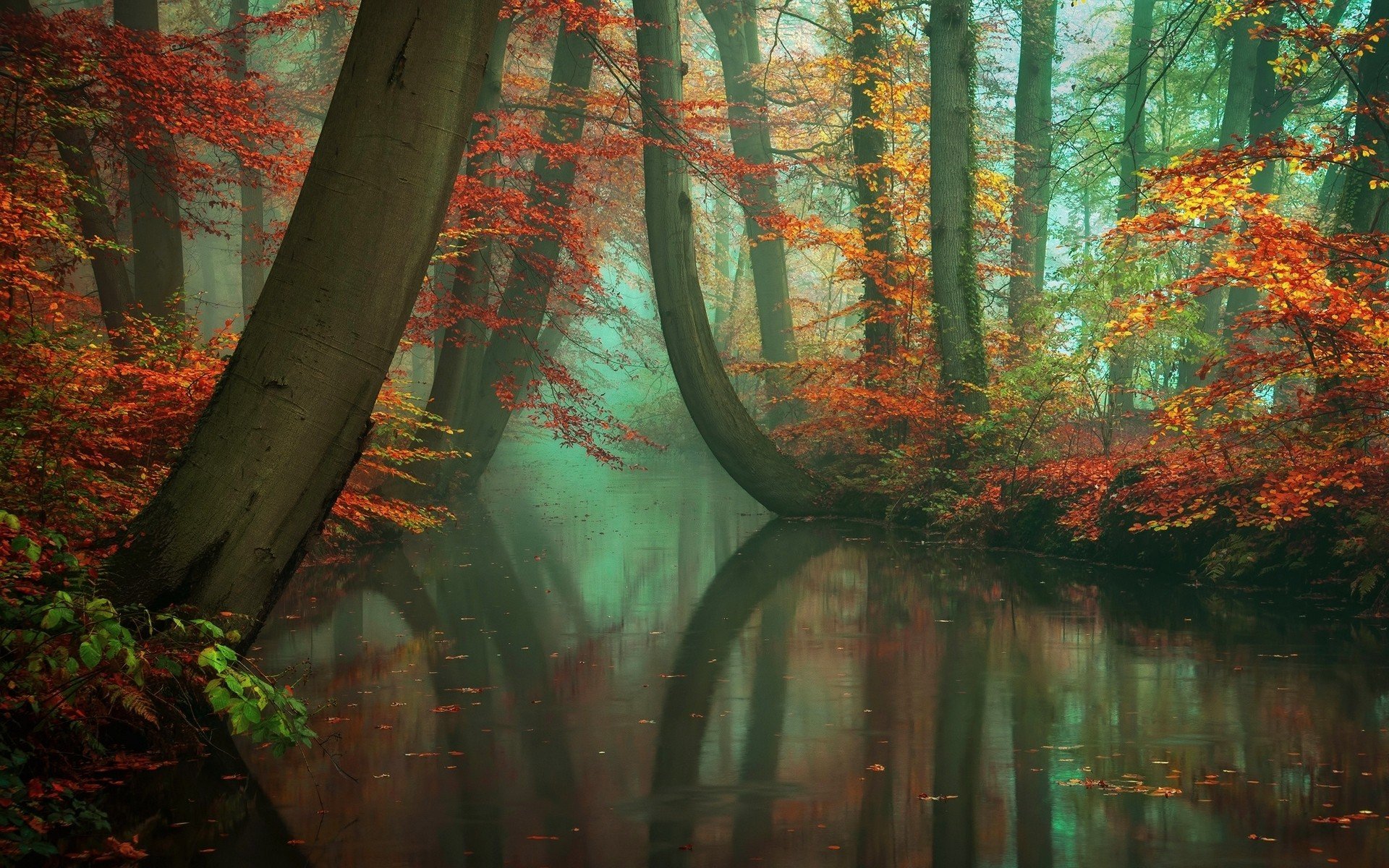 nature, Landscape, Mist, Forest, Fall, River, Reflection, Red, Yellow, Peacefull Wallpaper