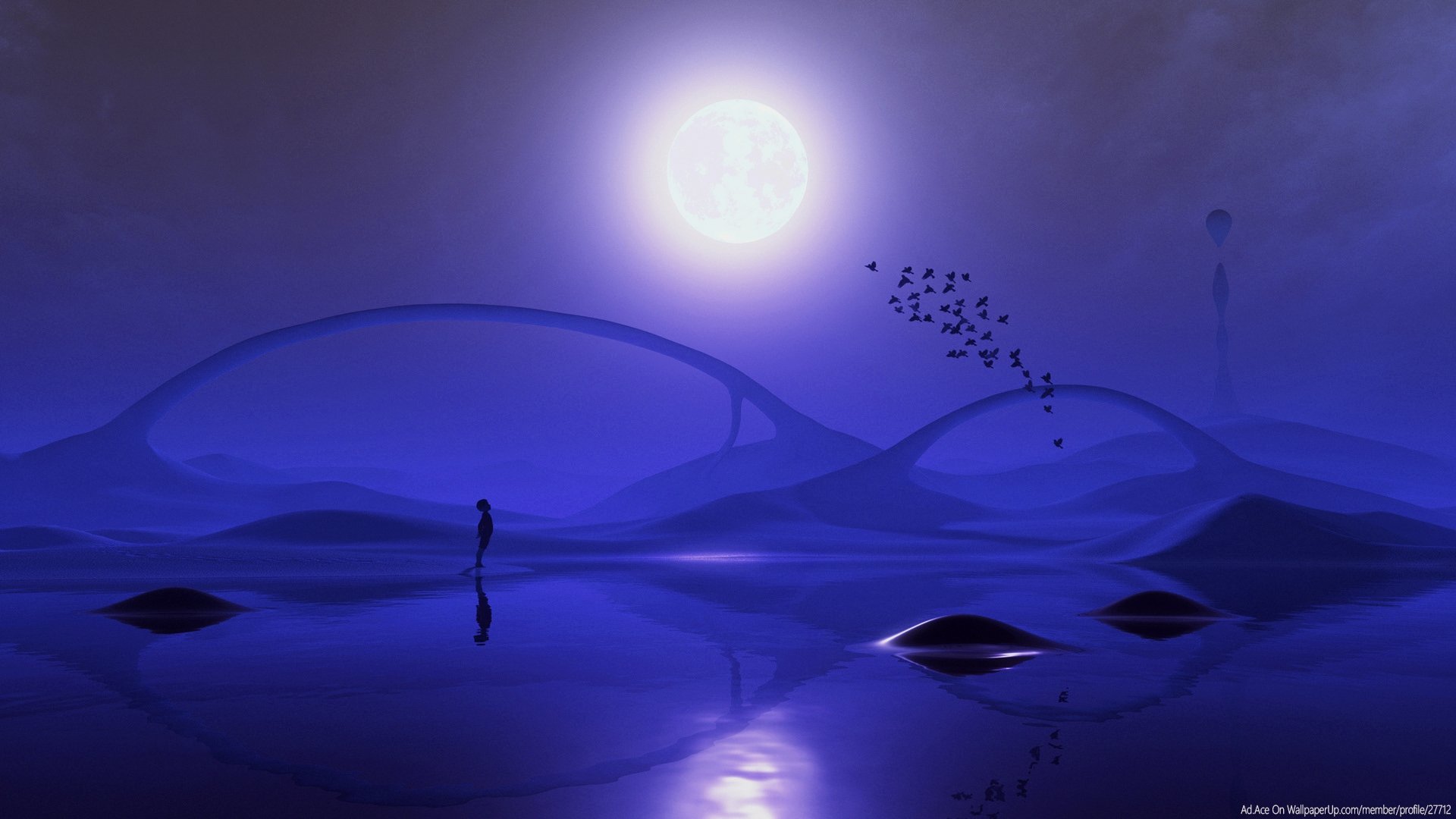 life, In, The, Desert, Night Wallpaper