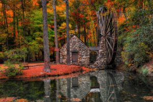 forest, Autumn, Fallen, Leaves, Water, Mill, Park, Landscape