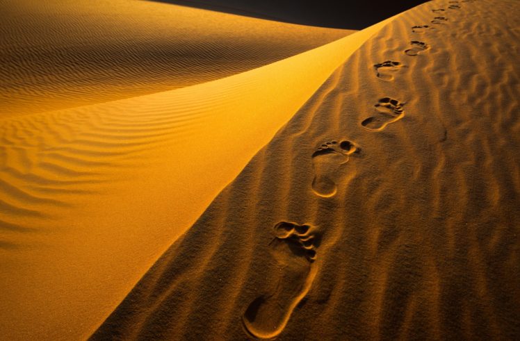 arena, Desierto, Huellas, Dunas, Naturaleza HD Wallpaper Desktop Background