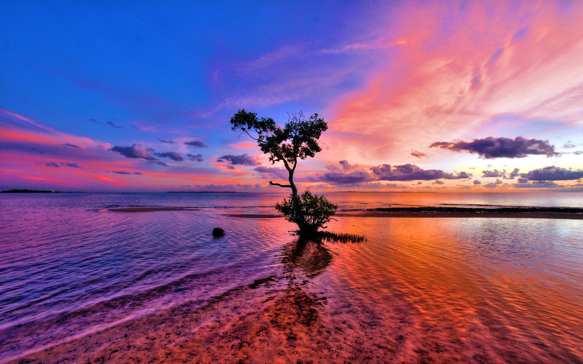 water, Sunset, Clouds, Landscapes, Nature, Coast, Trees, Skyscapes Wallpaper