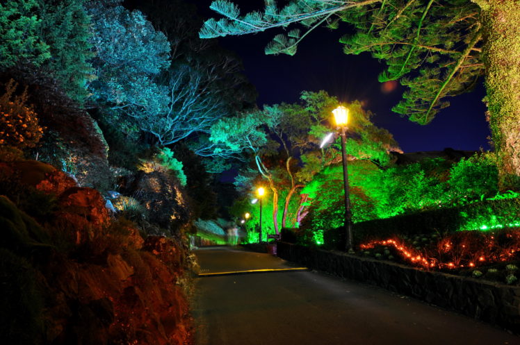 gardens, Roads, New, Zealand, Wellington, Botanical, Night, Street, Lights, Nature, Garden HD Wallpaper Desktop Background