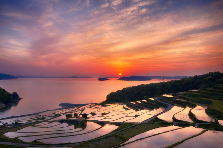 japan, Nagasaki, Prefecture, Terraces, Rice, Evening, Sun, Sunset, Orange, Sky, Clouds HD Wallpaper Desktop Background