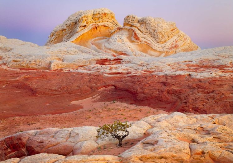 nature, Rocks, Arizona HD Wallpaper Desktop Background