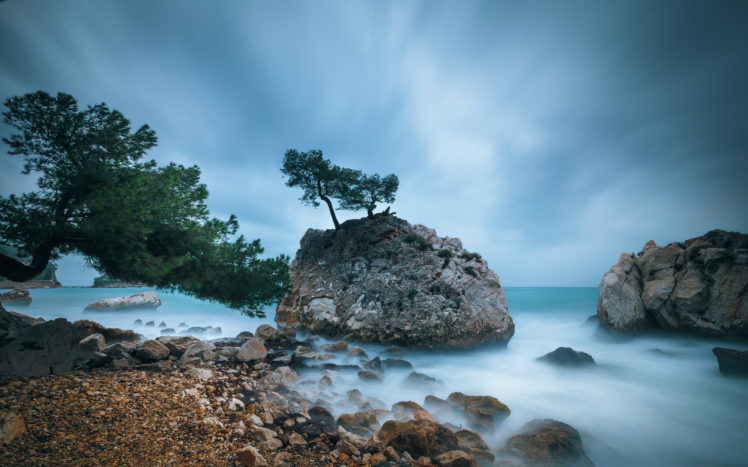 shore, Coast, Trees, France HD Wallpaper Desktop Background