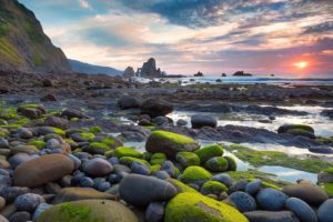 rocks, Stones, Sunset, Sunlight, Beach, Ocean, Moss, Landscape