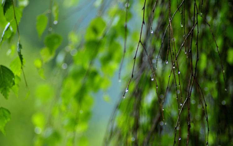 water, Drops, Bokeh HD Wallpaper Desktop Background