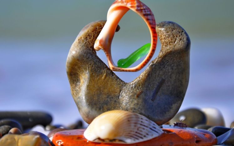 beach, Shells, Shells, Bokeh HD Wallpaper Desktop Background