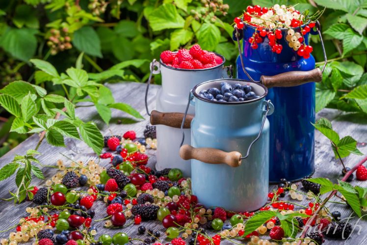 berries, Golubmka, Raspberries, Currants, Gooseberries, Blackberries, Cans, Vitamins HD Wallpaper Desktop Background