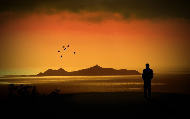 photo, Creative, Sky, Different, Mood, Ocean, Sea, Sunset, Birds, Beach HD Wallpaper Desktop Background