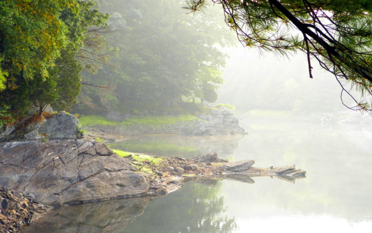 wood, Rocks, Lake, Mist, Fog, Mood, Trees, Shore, Reflection HD Wallpaper Desktop Background