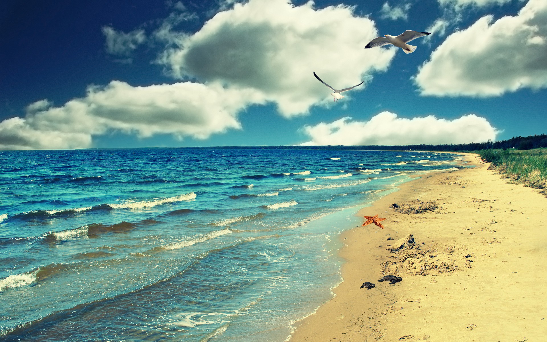 13679 Wallpaper