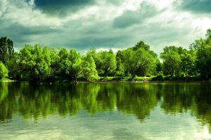 clouds, Landscapes, Nature, Trees, Skyline, Forest, Lakes, Reflections