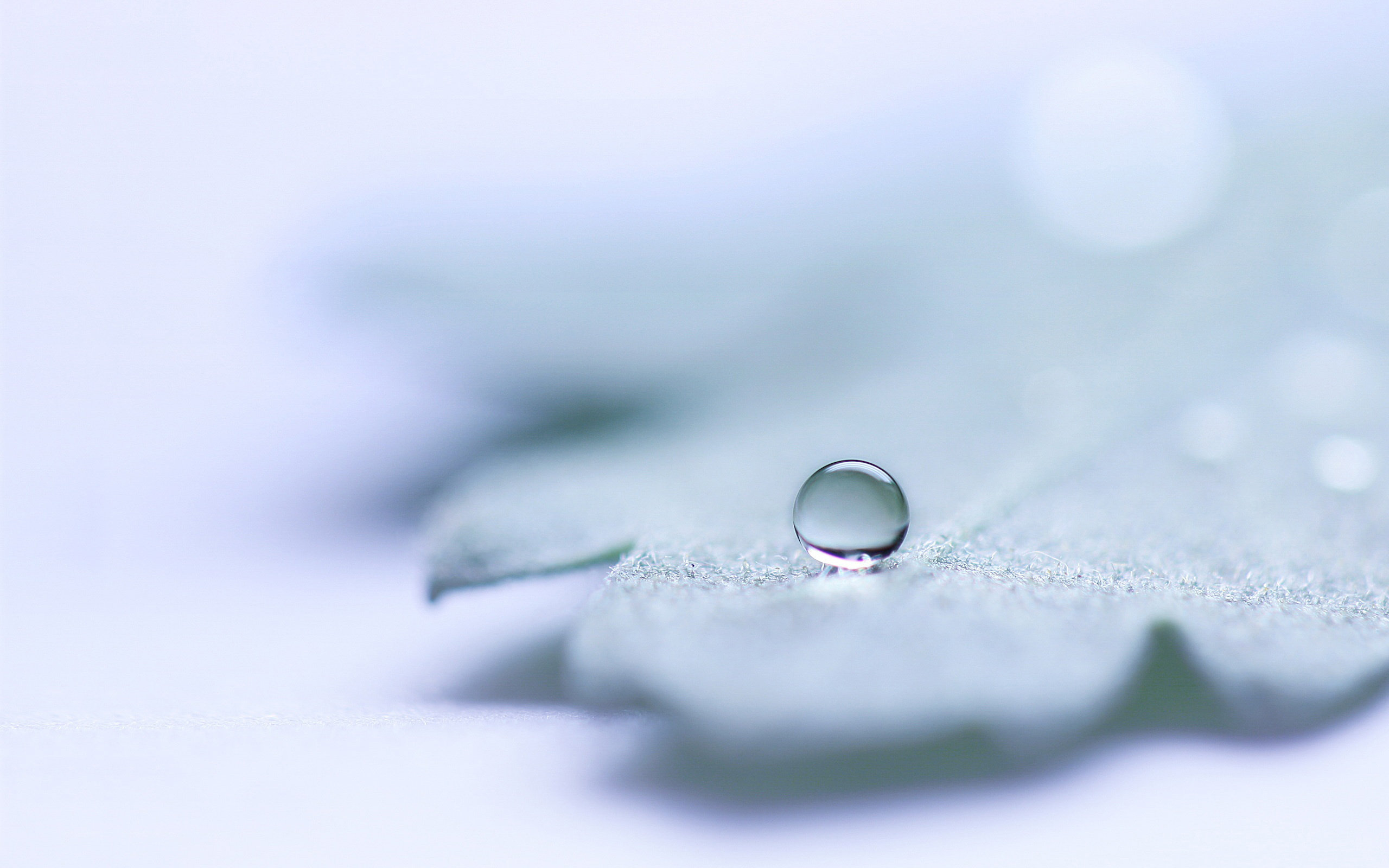 water, Drop Wallpaper