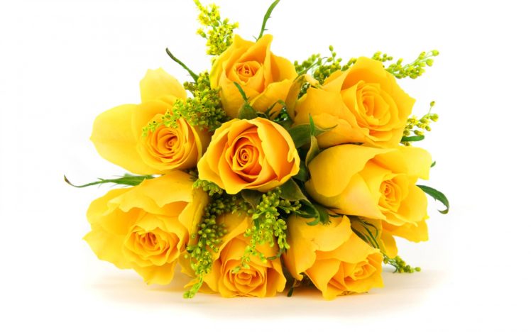 flowers, Bunch, Yellow, Roses HD Wallpaper Desktop Background