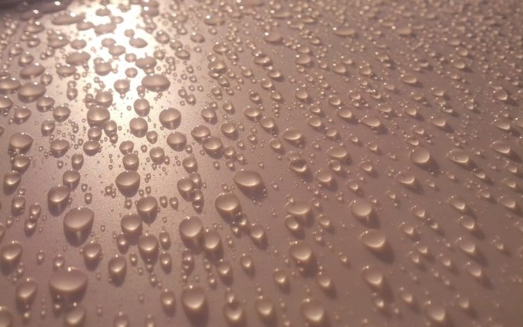rain, Sunlight, Water, Drops, Reflections HD Wallpaper Desktop Background