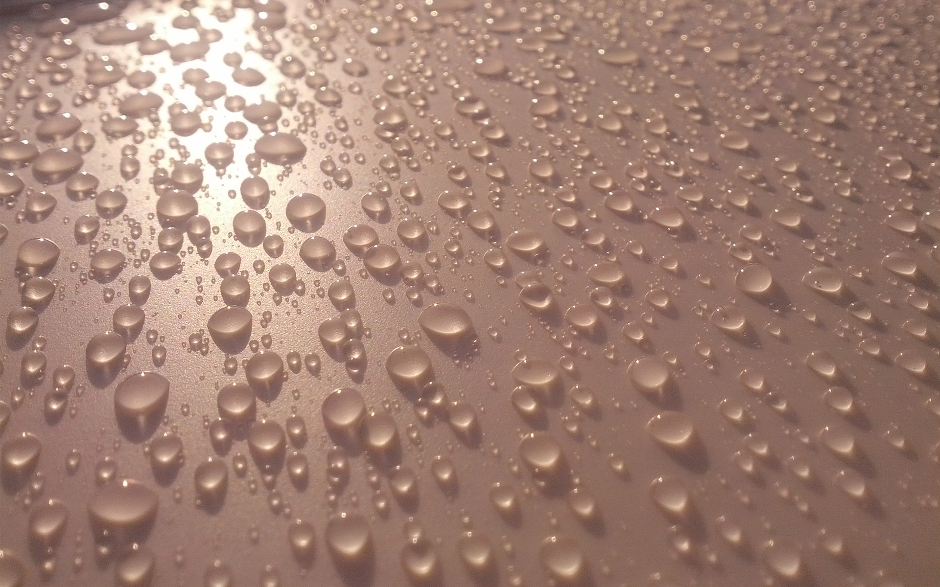 rain, Sunlight, Water, Drops, Reflections Wallpaper
