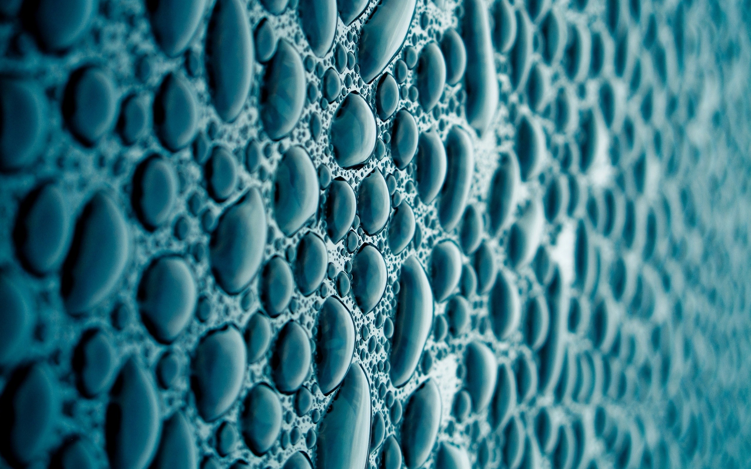 water, Drops, Macro, Condensation Wallpaper