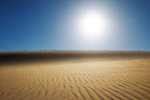 sunny, Desert