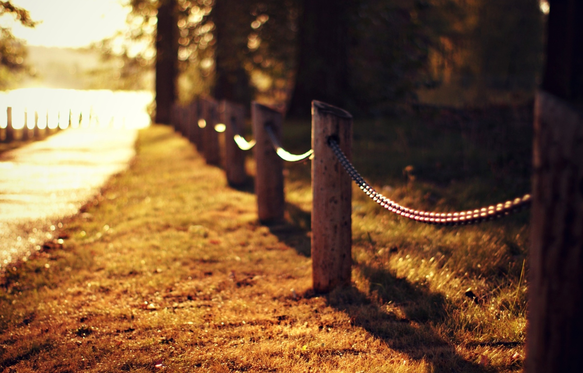 road, Grass, Lawn, Fence, Fence, Trees, Light, Nature, Autumn, Close up, Blurred, Bokeh Wallpaper
