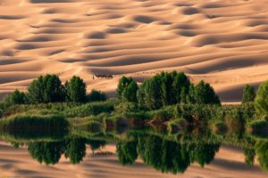 landscapes, Nature, Desert, National, Geographic, Oasis, Camels, Sand, Dunes, Reflections