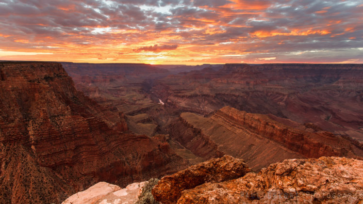 usa, Scenery, Grand, Canyon, Canyon, Horizon, Nature HD Wallpaper Desktop Background