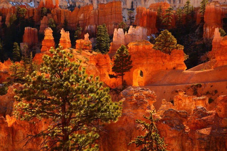 parks, Usa, Bryce, Canyon, Utah, Canyon, Nature HD Wallpaper Desktop Background