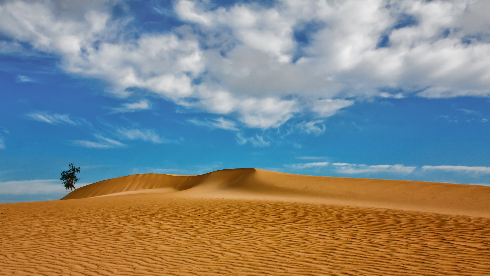 dunes, Sand, Clouds, Tree Wallpaper