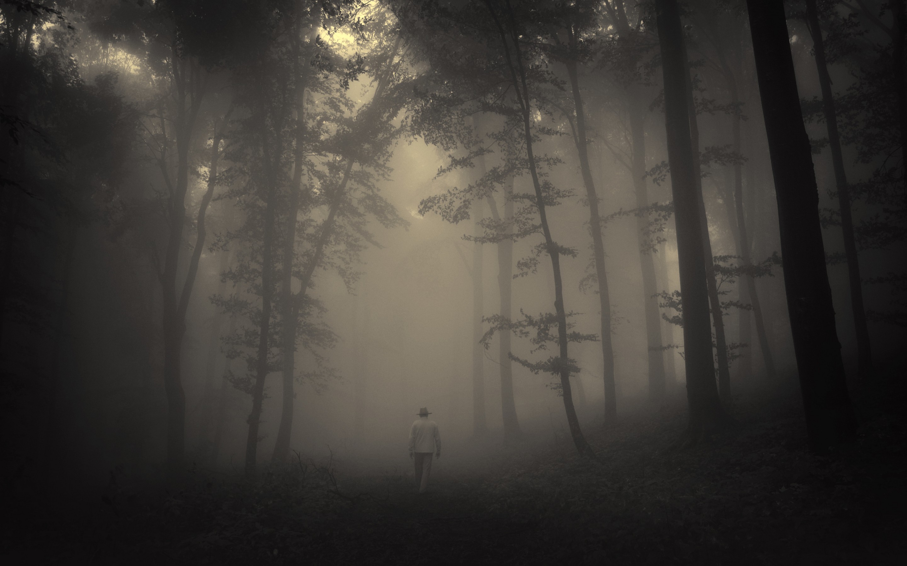 Forest Trees Creepy Nature Landscape Misty Lonely Old Man
